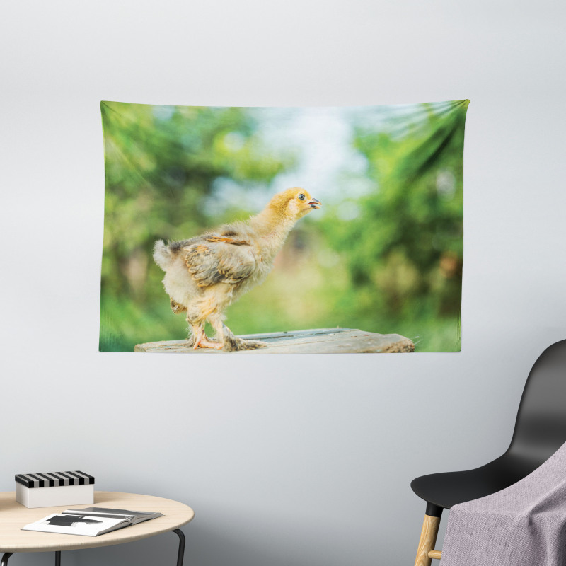 Little Baby Chicken on Log Wide Tapestry