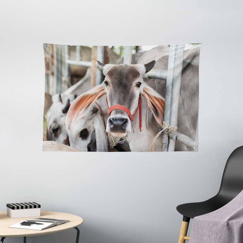 Cow Eating Grass Wide Tapestry