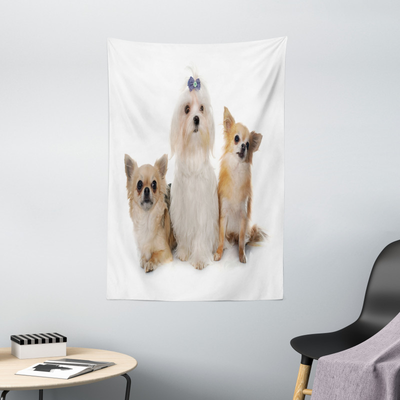 Chihuahua and Maltese Dogs Tapestry