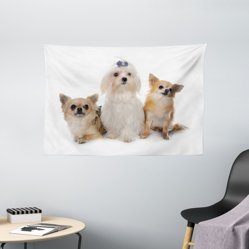 Chihuahua and Maltese Dogs Wide Tapestry