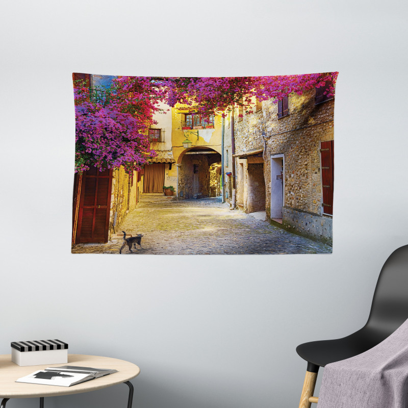 Historical Houses Alley Wide Tapestry
