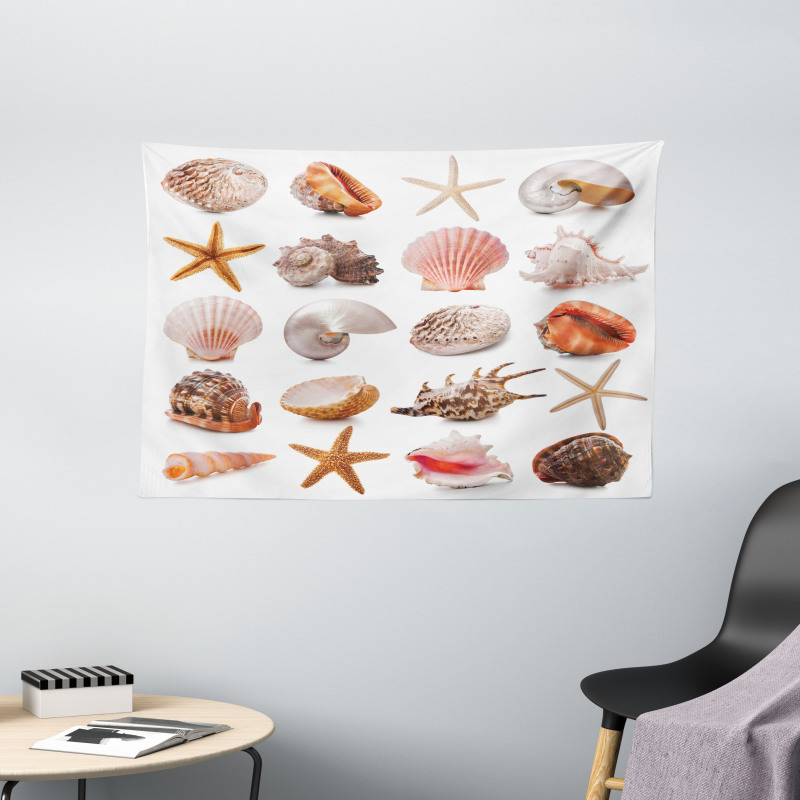 Mollusk Summer Holiday Wide Tapestry