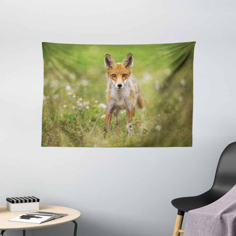 Young Curious Coyote Animal Wide Tapestry