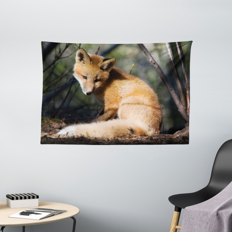 Young Coyote in Forest Sunrays Wide Tapestry