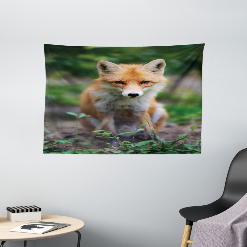 Young Coyote Photo Wide Tapestry