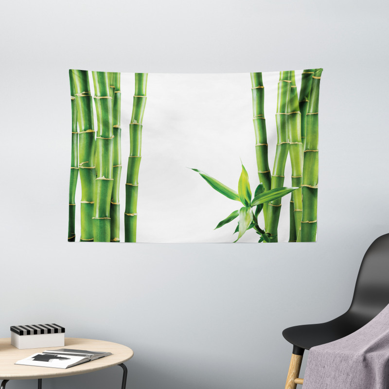 Branches of Bamboo Plant Wide Tapestry