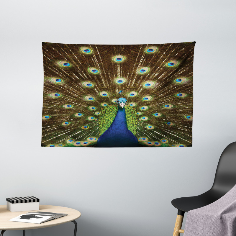 Peacock with Feathers Wide Tapestry