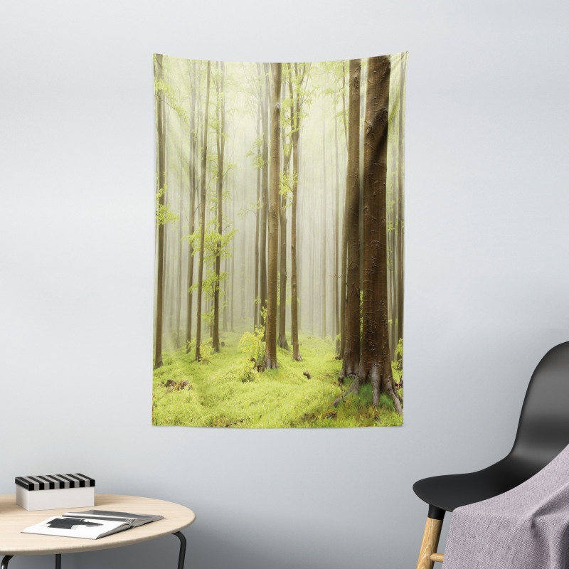 Misty Beech Forest Photo Tapestry