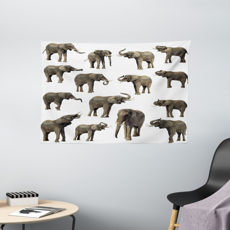 Elephants Tusk Ear Wide Tapestry