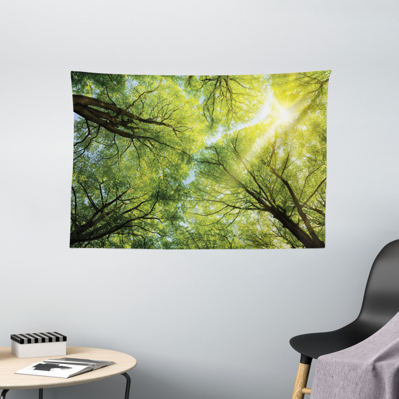 Romantic Beech Trees Wide Tapestry