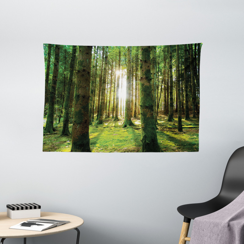 Sunny Day in the Forest Wide Tapestry
