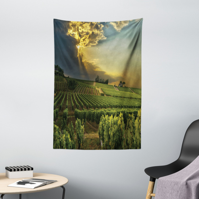 France Sunset Vineyard Tapestry