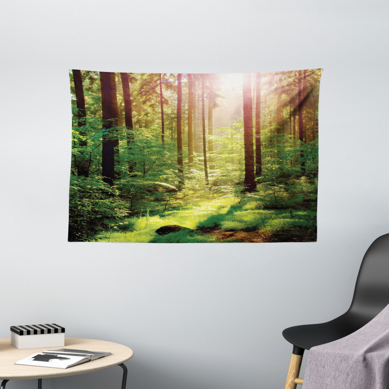 Sunset Moss Woods Trees Wide Tapestry