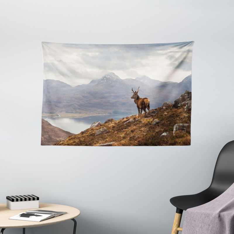 Western Ross Mountain View Wide Tapestry