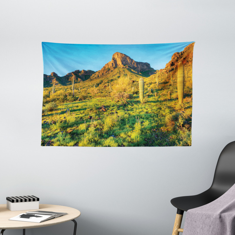 Picacho Peak and Sun Wide Tapestry