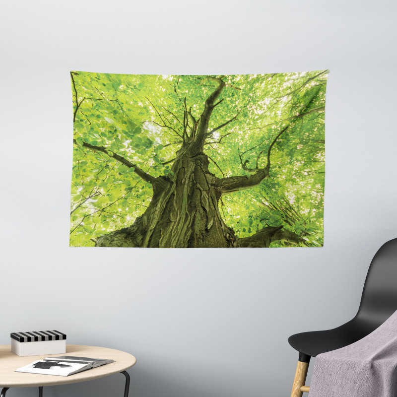 Old Big Majestic Tree Wide Tapestry
