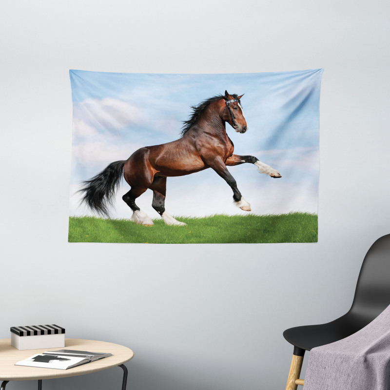 Horse Pacing on Grass Wide Tapestry