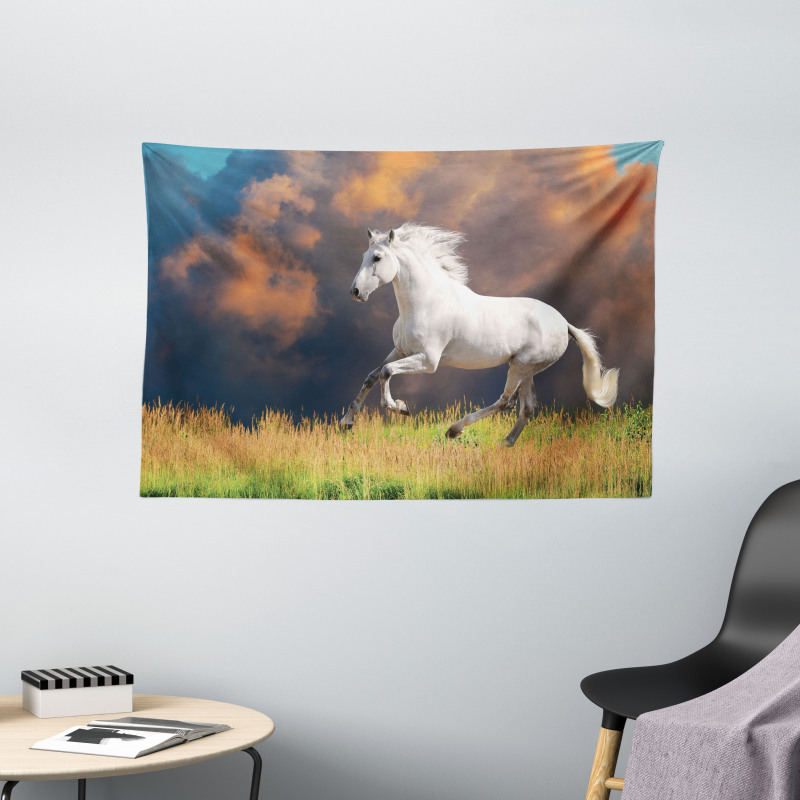Andalusian Horse Dusk Wide Tapestry