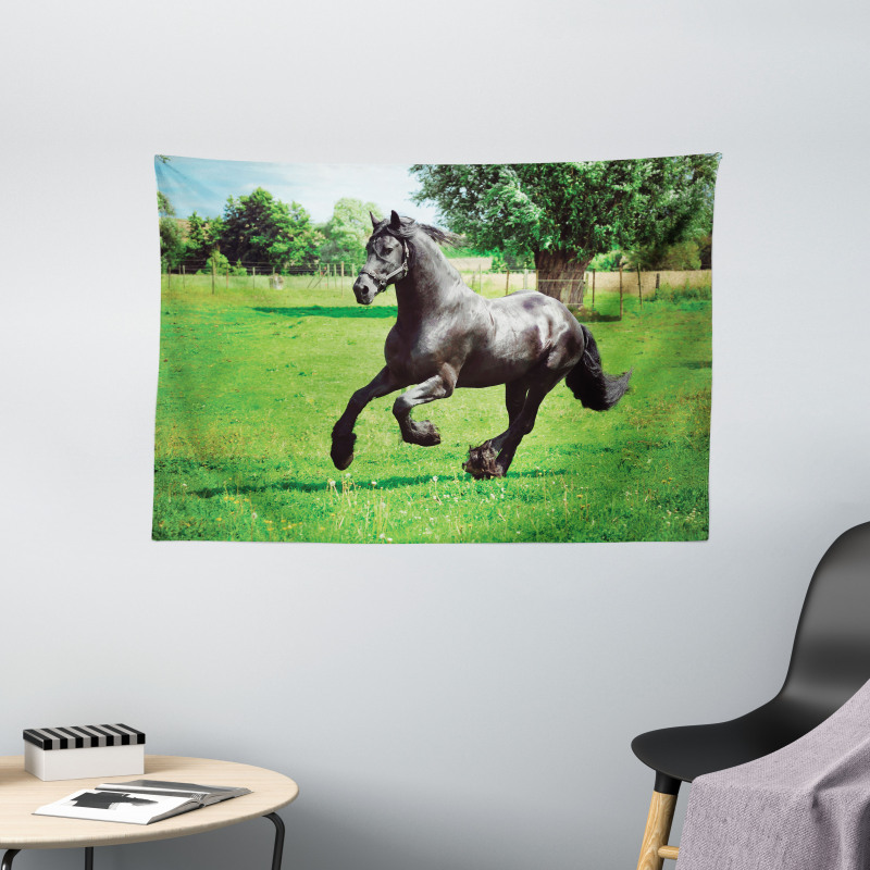 Friesian Horse Wide Tapestry
