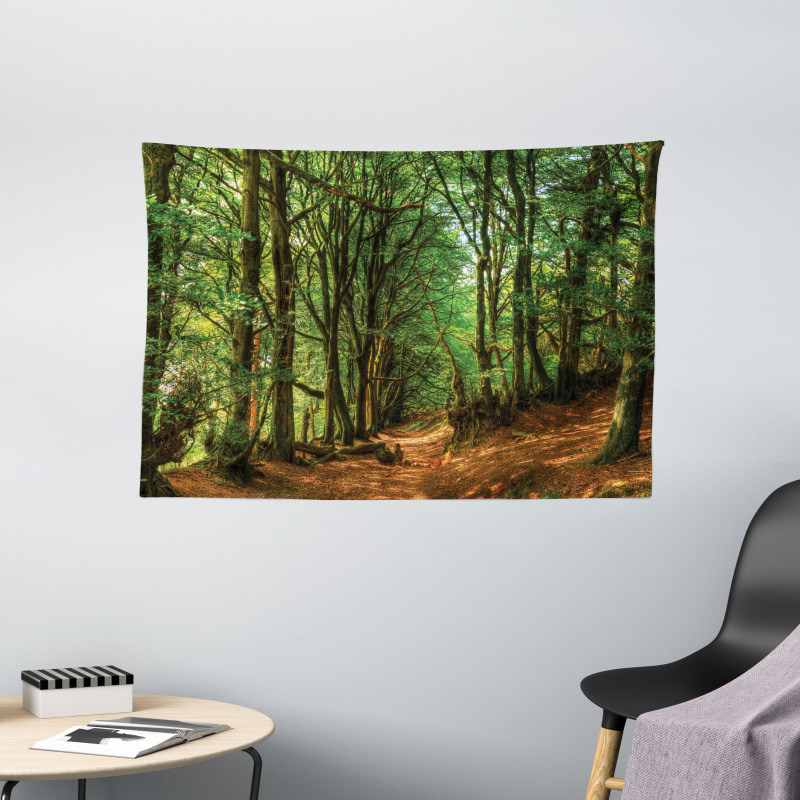 Woodland Pathway Scene Wide Tapestry