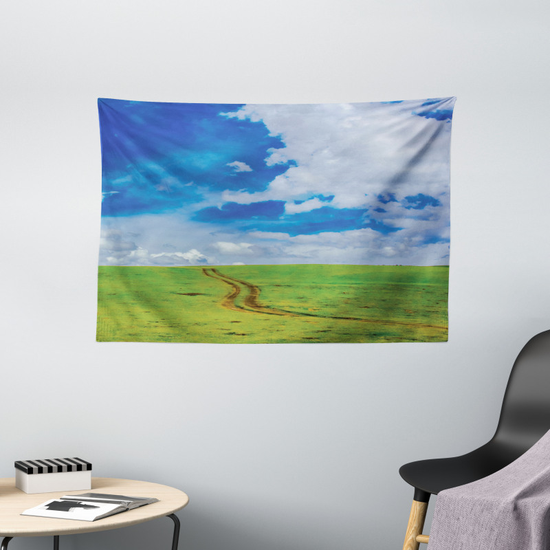 Path in Meadow Rural Wide Tapestry