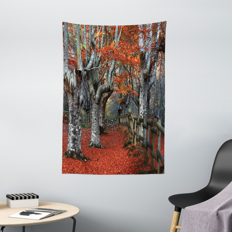 Beech Forest Autumn Tapestry