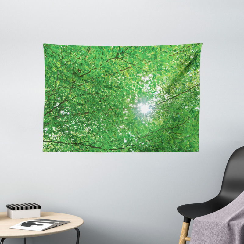 Sun with Tree Branches Wide Tapestry