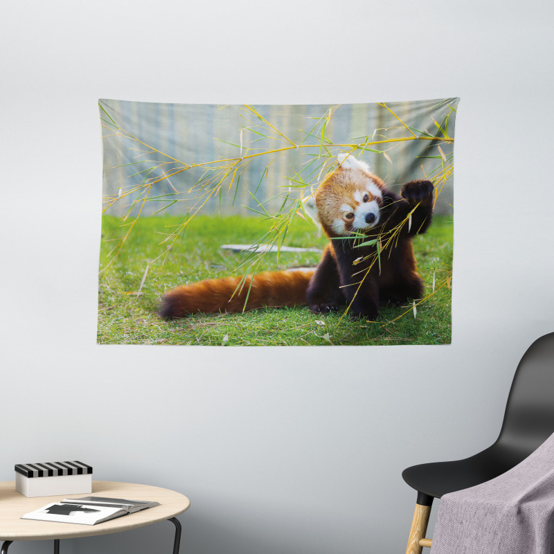 Panda Wide Tapestry