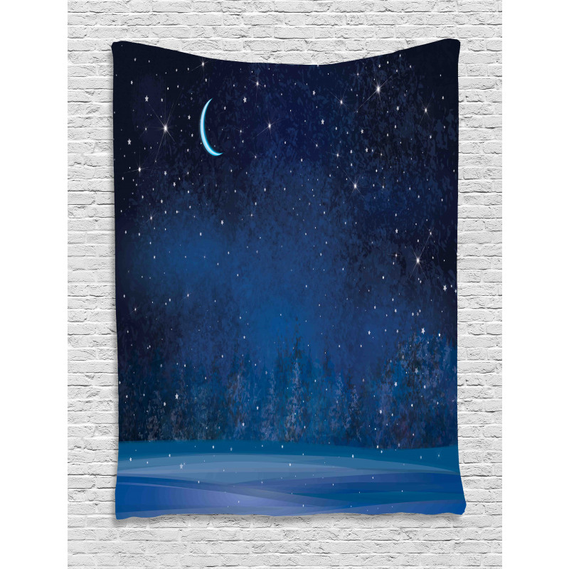 Winter Season Nighttime Tapestry