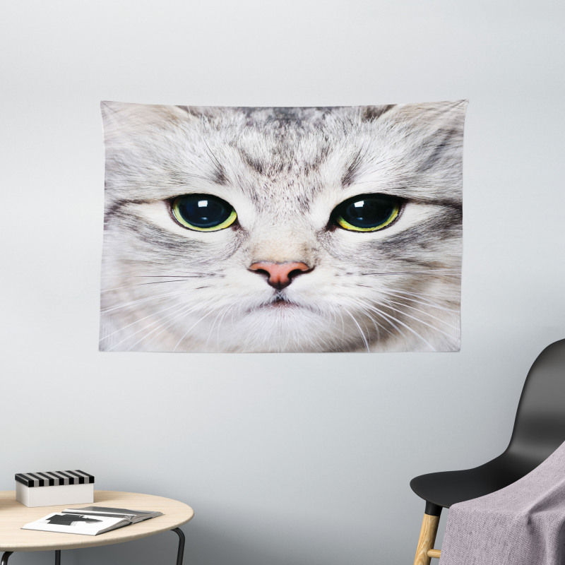 Face of a Domestic Kitty Wide Tapestry