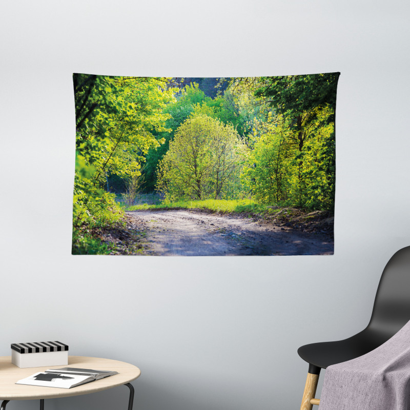 Path in Forest by Lake Wide Tapestry