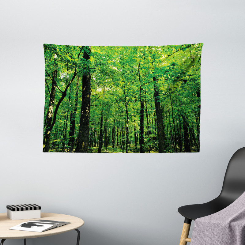 Woodland Tree Forest Sun Wide Tapestry