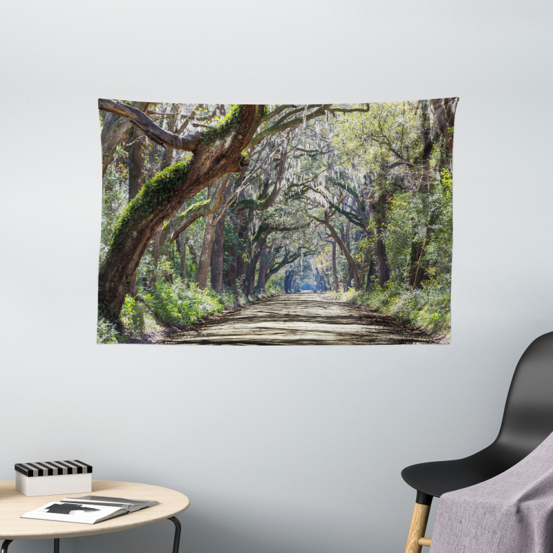 Road in Forest Carolina Wide Tapestry