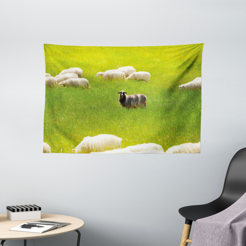 Black Sheep White Goats Wide Tapestry