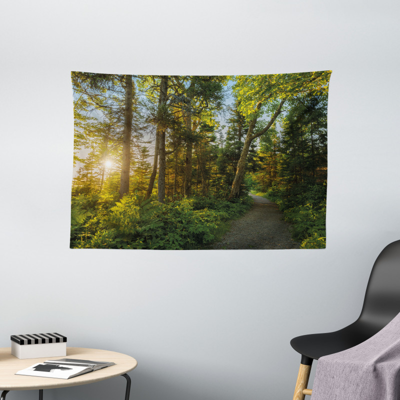 National Park Trees Path Wide Tapestry