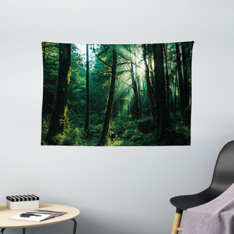 Sunset in Woods Trees Wide Tapestry
