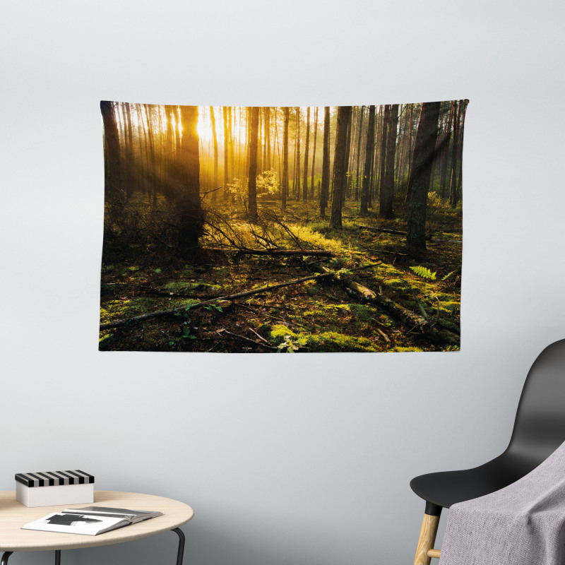 Misty Morning Sun Rays Wide Tapestry