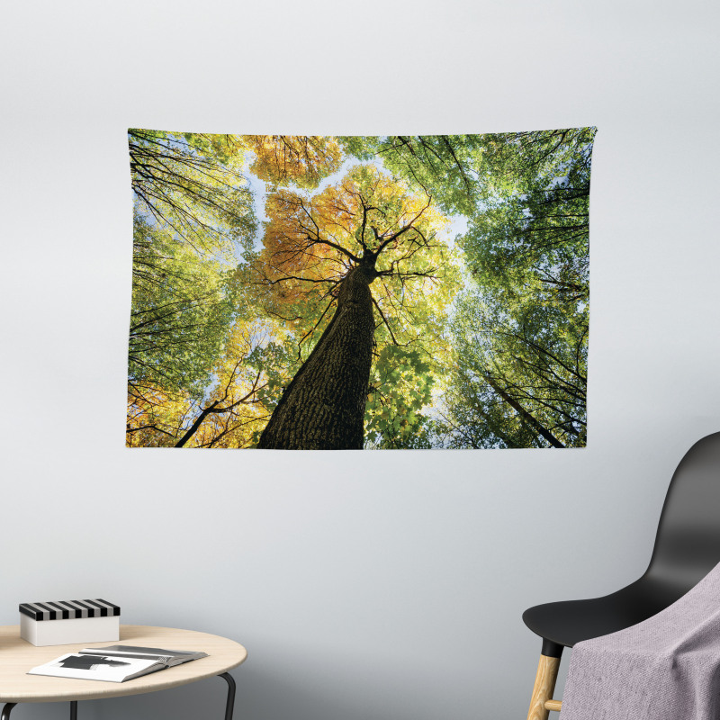 Forest Autumn Growth Eco Wide Tapestry