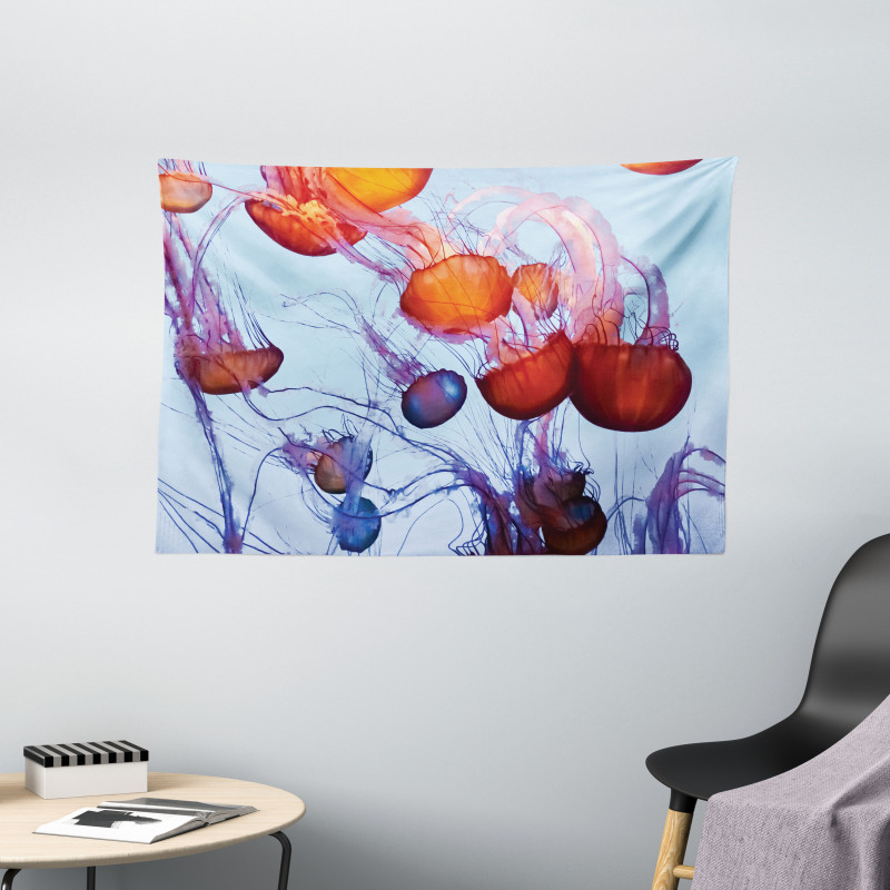 Jellyfish in the Ocean Wide Tapestry