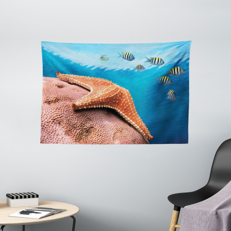 Coral Fishes Sea Wide Tapestry