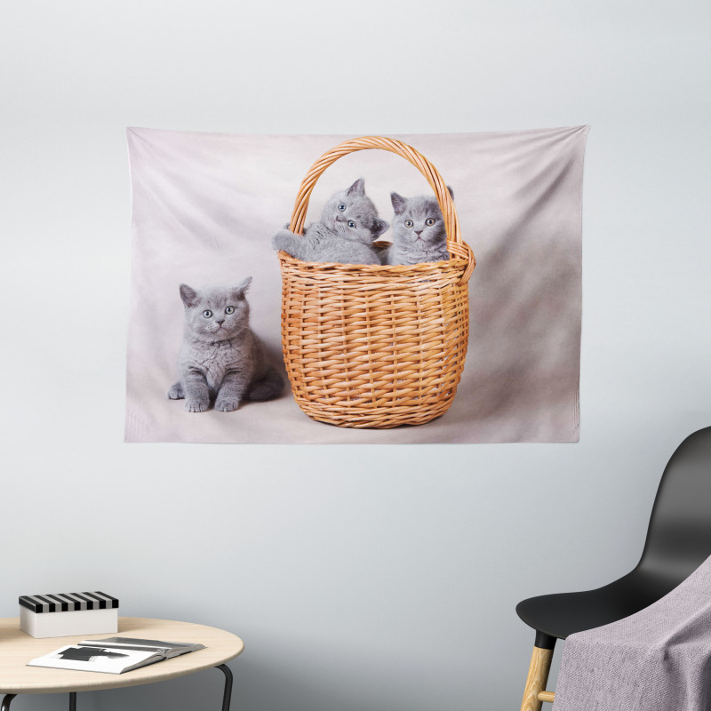 British Cats in Basket Wide Tapestry