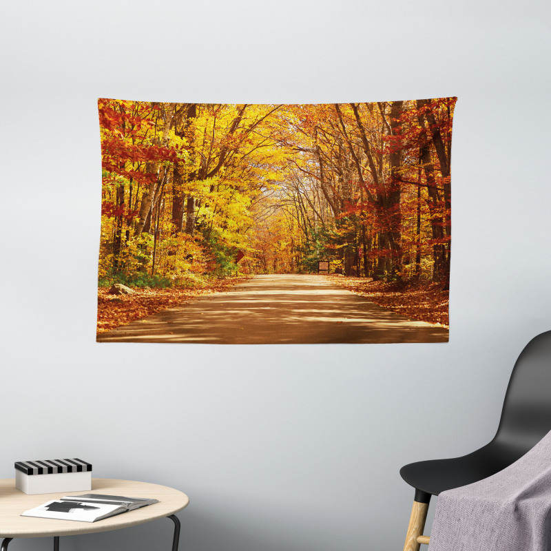 Scenic Outdoors Empty Road Wide Tapestry