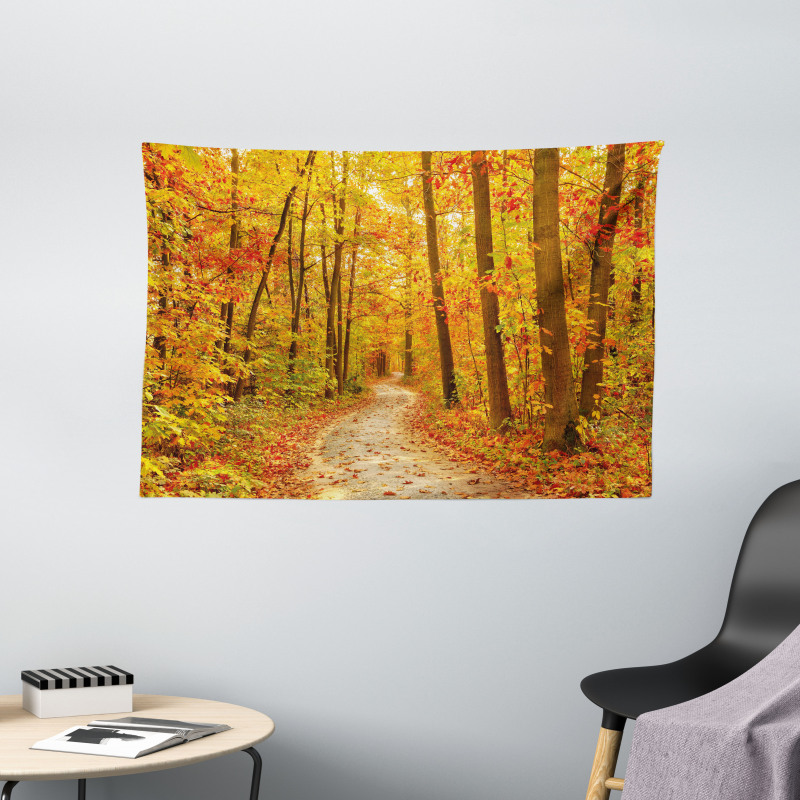 Pathway in the Wilderness Wide Tapestry