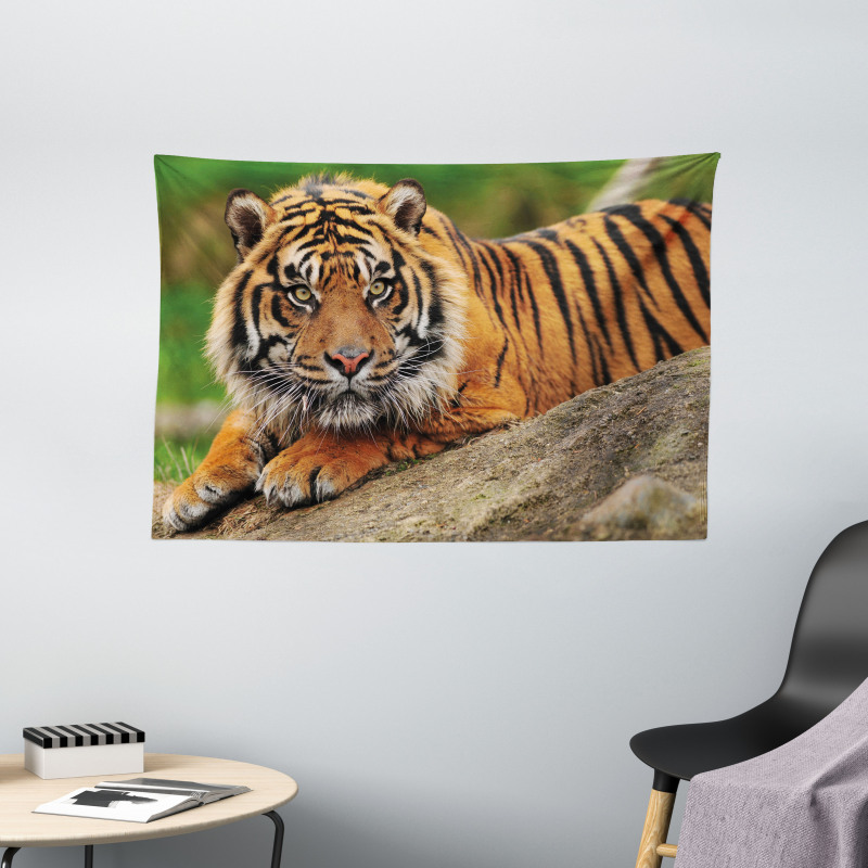 Tiger Crouching on Rock Wide Tapestry