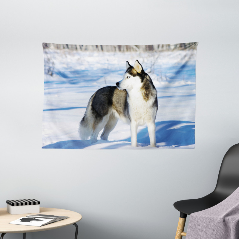 Husky on Snow Wide Tapestry