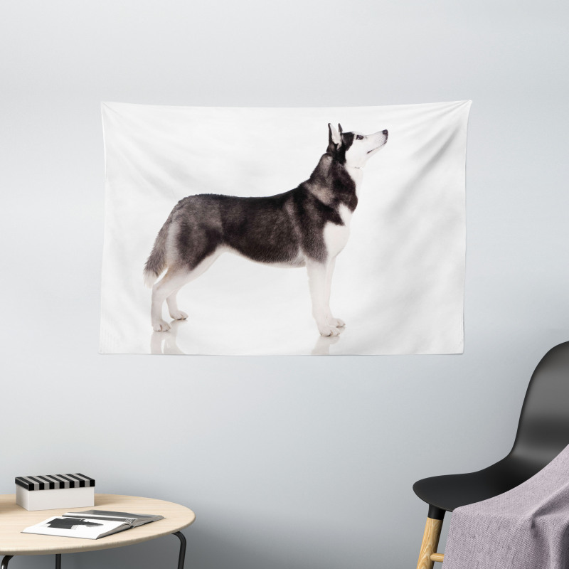 Arctic Animal Wide Tapestry