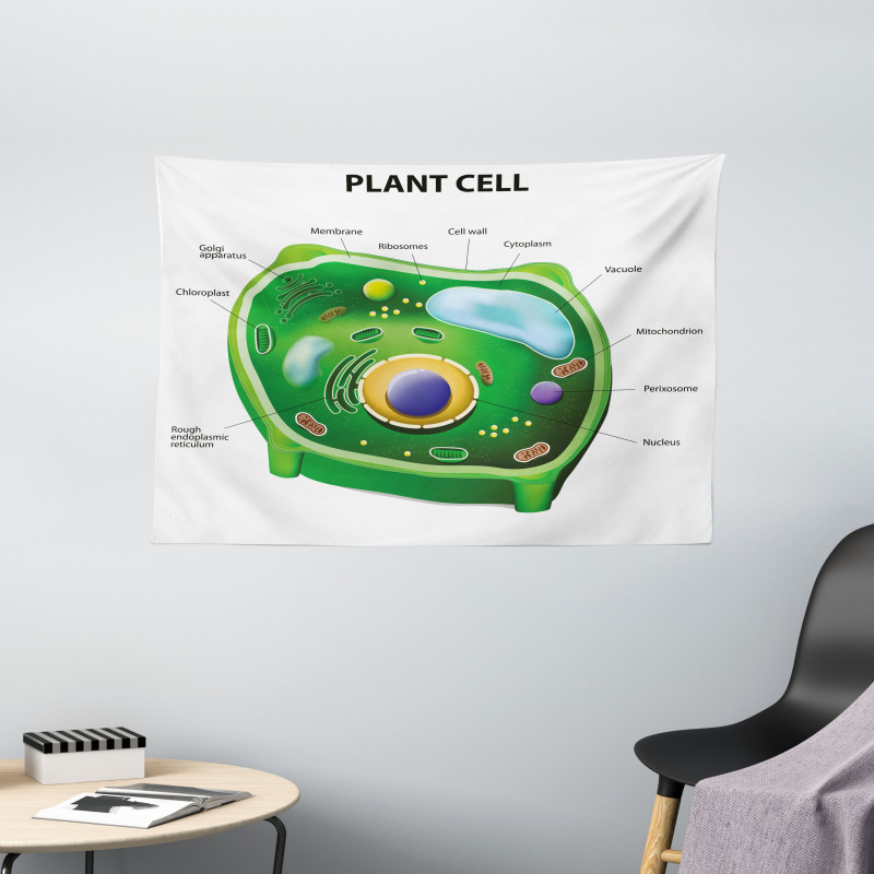 Cell Biology Plant Wide Tapestry