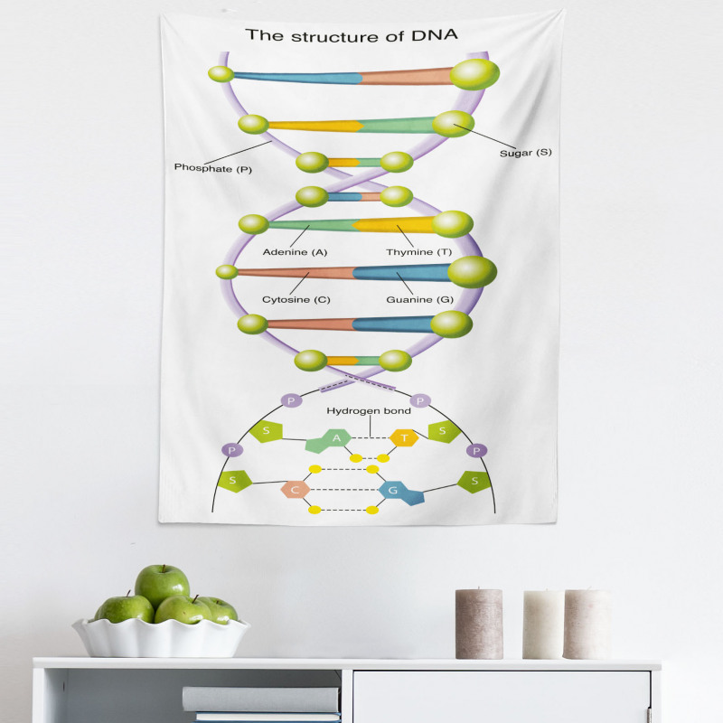 Öğretici Mikrofiber Duvar Halısı Gen ve DNA