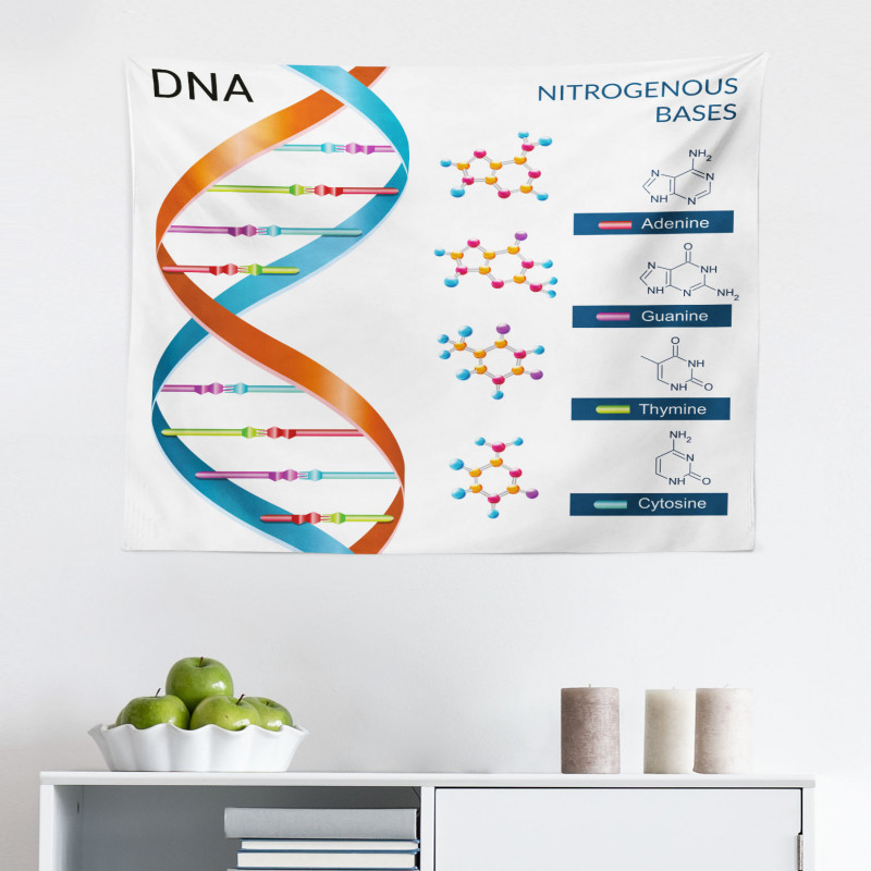 Öğretici Mikrofiber Geniş Duvar Halısı Turuncu Mavi DNA