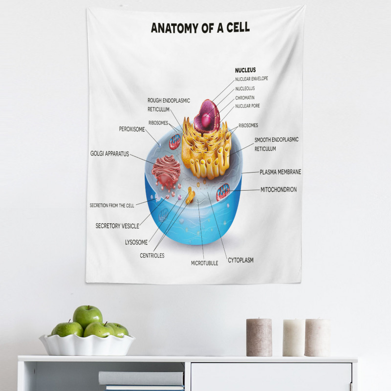 Öğretici Mikrofiber Duvar Halısı Hücrenin Anatomisi